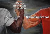Being both dead and alive Viruses Schrodinger's cat