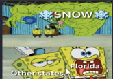 2025 Gee-Oh SNOW Other states. Florida.