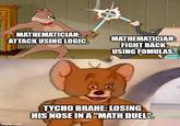 MATHEMATICIAN: ATTACK USING LOGIC. MATHEMATICIAN: FIGHT BACK USING FOMULAS. imgflip.com TYCHO BRAHE: LOSING HIS NOSE IN A "MATH DUEL".
