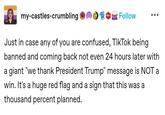 It's a huge red flag and a sign that this was a thousand percent planned. my-castles-crumbling Get Follow Just in case any of you are confused, TikTok being banned and coming back not even 24 hours later with a giant "we thank President Trump" message is NOT a win. It's a huge red flag and a sign that this was a thousand percent planned.