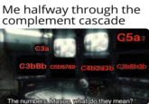 "The numbers, Mason, what do they mean" is a quote from the 2010 video game _Call of Duty: Black Ops_