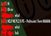 A text box from Roblox. The text box depicts someone being taken over by Pedro.exe.