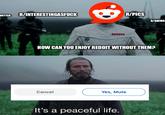 WITTER R/INTERESTINGASFUCK R/PICS R/ANIMA HOW CAN YOU ENJOY REDDIT WITHOUT THEM? Cancel Yes, Mute It's a peaceful life.