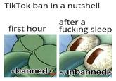 US went in a rollercoaster lmao | /r/memes TikTok ban in a nutshell after a first hour f------ sleep banned unbanned