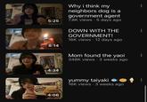 A screenshot of several thumbnails for YouTuber astryuuna's videos. The first video is titled "why I think my neighbors dog is a government spy."