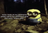 A meme from "TikTok":https://knowyourmeme.com/memes/sites/tiktok using the Minion":https://knowyourmeme.com/memes/minions standing in a dark forest and staring image, captioned, "How I look at my girlfriend when I give her affection and she says 'that's gay.'"