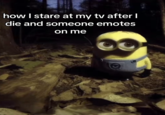 A meme from "TikTok":https://knowyourmeme.com/memes/sites/tiktok using the Minion":https://knowyourmeme.com/memes/minions standing in a dark forest and staring image, captioned, "How I stare at my TV after I die and someone emotes on me."