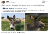 A "tweet":https://knowyourmeme.com/memes/sites/twitter-x about the donkey who served as the Donkey model for "_Shrek_":https://knowyourmeme.com/memes/subcultures/shrek passing away, using the "It literally is n----- dying that have never died before" catchphrase.