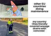 other EU countries doing maintenance my country (they literally covered sewage drains with concrete)