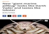 BIOLOGY New "giant marine pillbug" looks like Darth Vader and tastes like lobster By Ben Coxworth January 14, 2025 f X F in VIEW 4 IMAGES