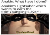 Anakin: What have I done? Anakin's Lightsaber which wants to earn the title "Youngling Slayer": It's showtime!