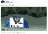 anne @atsuover just made this gif II GIF True... 1:15 PM • Jan 21, 2025 689.4K Views .