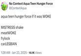 No Context Aqua Teen Hunger Force @ContextAqua aqua teen hunger force if it was WOKE MISTRESS shake meatWOKE frylock carLESBIAN • 1:28 AM ⚫ Jan 23, 2025 14.1K Views