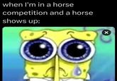 when I'm in a horse competition and a horse shows up: