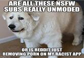 ARE ALL THESE NSFW SUBS REALLY UNMODED OR IS REDDIT JUST REMOVING P--- ON MY RACIST APP imgflip.com Drinkin