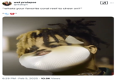 wet prolapse @4skip1 "whats your favorite coral reef to chew on?" ☑ 66 " Lon 6:29 PM Feb 5, 2025 10.9K Views ...