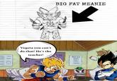 Vegeta you can't do that! He's the teacher! BIG FAT MEANIE RULES