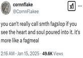 cornnflake @CornnFlakee you can't really call smth fagslop if you see the heart and soul poured into it. it's more like a fagmeal • 2:16 AM Jan 15, 2025 49.6K Views
