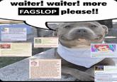 Fagslop version of the Waiter! Waiter! More Toddlers Please!! meme