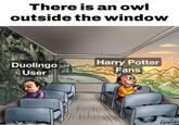 There is an owl outside the window Duolingo User Harry Potter U Fans GENILD