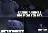EATING A SINGLE BIG MEAL PER DAY NUTRITIONISTS imgflip.com DENTISTS