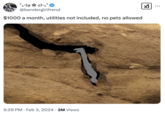 $1000 a month, utilities not included, no pets allowed A "tweet":https://knowyourmeme.com/memes/sites/twitter-x about the Nutty Putty Cave Incident akin to "Cave Diver Memes":https://knowyourmeme.com/memes/cave-diver-memes/, joking about the diagram being what a landlord offers in a small apartment in a big city.