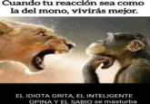 The earliest notable ironic use of the screaming lion and chill monkey meme. The text on the image translates to, "When your reaction is like the monkey, you will live better," and, "The idiots scream, the intelligent give their opinion, while the wise j-------."
