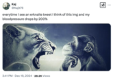 A variation of the screaming lion and chill monkey meme, alongside a caption that reads, "everytime I see an erknaite tweet I think of this img and my bloodpressure drops by 200%." The image was first used in sincere "boomer":https://knowyourmeme.com/memes/cultures/baby-boomers memes before being used in a manner similar to the "Small Brain Man Screaming at Big Brain Man":https://knowyourmeme.com/memes/small-brain-man-screaming-at-big-brain-man meme.