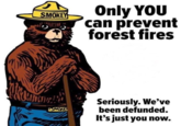 SMOKEY Only YOU can prevent forest fires USMOKE Seriously. We've been defunded. It's just you now.