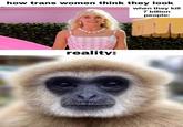 how trans women think they look when they kill 7 billion people: reality: