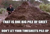 THAT IS ONE BIG PILE OF SHEET DON'T LET YOUR TIMESHEETS PILE-UP imgflip.com