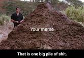 Your meme That is one big pile of s---.