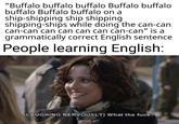 A meme about learning English. The caption reads, "'Buffalo buffalo buffalo Buffalo buffalo buffalo Buffalo buffalo on a ship-shipping ship shipping shipping-ships while doing the can-can can-can can can can can can-can' is a grammatically correct English sentence.' People learning English:"