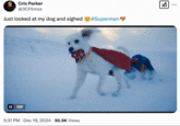 An example of the "phrasal template":https://knowyourmeme.com/memes/snowclone meme "Looked at my X and sighed" being used, where people jokingly call something close to them inadequate in the face of something or someone they perceive to be better.