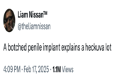 Liam Nissan™ @theliamnissan A botched penile implant explains a heckuva lot 4:09 PM Feb 17, 2025 1.1M Views