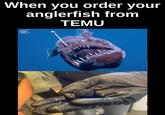 When you order your anglerfish from TEMU Vida Marina Tenerife