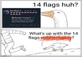 A "goose chasing guy":https://knowyourmeme.com/memes/goose-chasing-guy meme about Elon Musk's 14 flags tweets.