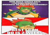 HOW MUCH LONGER UNTIL I F------ PURPOSELY OVERDOSE ON POISON MUSHROOMS? BEST I CAN DO IS 2 WEEKS FLONCH