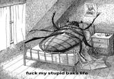 f--- my stupid baka life