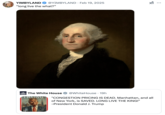 Several internet users reacted to Donald Trump and the official White House account "joking" about him being a King, as seen in this post by @YIMBYLAND that features an image of American founding father and anti-feudalist George Washington. 
