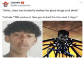 A "meme":https://knowyourmeme.com/memes/memes about the "Brazilian":https://knowyourmeme.com/memes/cultures/brazil teen Davi Nunes Moreira who died after injecting himself with a crushed butterfly in February 2025, using a "GigaChad":https://knowyourmeme.com/memes/gigachad format.