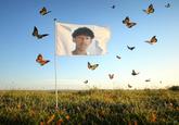 An "photoshop":https://knowyourmeme.com/memes/sites/photoshop image of the "Brazilian":https://knowyourmeme.com/memes/cultures/brazil teen who died after injecting himself with a crushed butterfly on a flag in a field of butterflies.