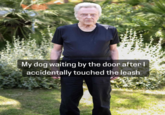 Internet users began making memes using the image of Christopher Walken standing on a lawn dressed in black, joking that his expression depicted how awkward it feels to wait in anticipation for something. 
