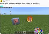 A Reddit post joking about warm and cold variant pig mobs in Minecraft. The cold pig is in a block of ice and the warm big is on fire.