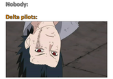 Nobody: Delta pilots: 小