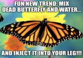 FUN NEW TREND: MIX DEAD BUTTERFLY AND WATER... AND INJECT IT INTO YOUR LEG!!! imgflip.com