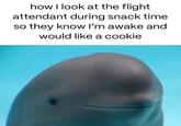how I look at the flight attendant during snack time so they know I'm awake and would like a cookie