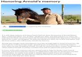A screenshot of a GoFundMe page set for Arnold Robert Haro, set by Maria Lucero Haro following his meme coin suicide. 