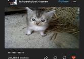 One of the earliest known posts featuring the kitten now known as Oupi Goupi. This image was originally posted to Tumblr in November 2022 by @ichosetobethisway alongside a caption that read, "rrrrrrrrrrrrr," gathering over 20,000 notes in three years. The earliest accessible repost is a tweet from January 2023 by @PunchingCat.