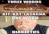 funny meme I found | /r/okbuddyretard THREE WORDS KIT. KAT. LASAGNA. ONE WORD DIABEETUS